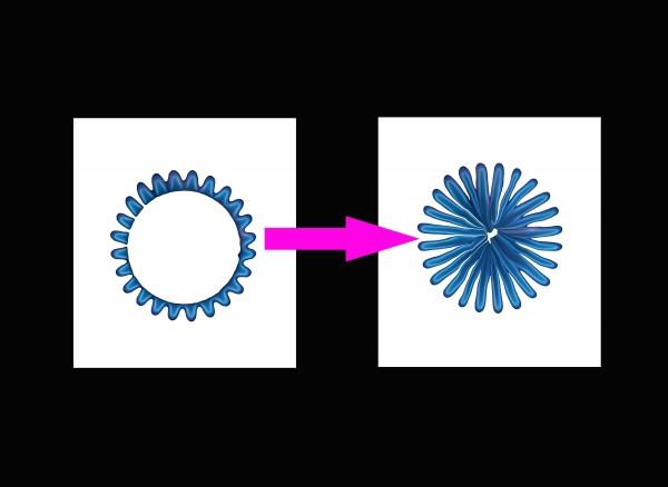 Creation of Burning vision: Step 1